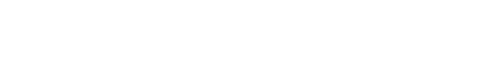 R Interactive